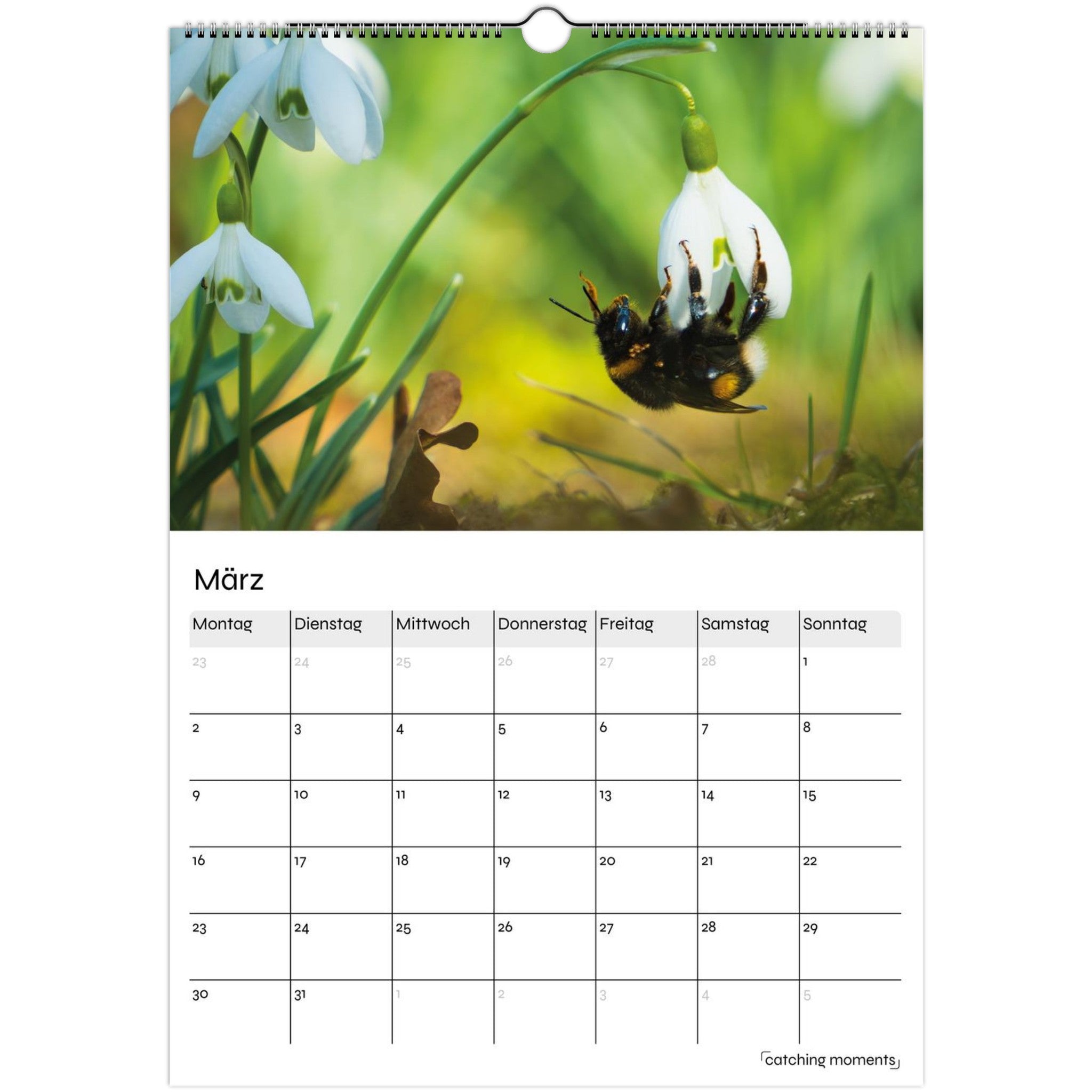 121e0e85-d0f9-4c33-82e7-9e6c53dac90c