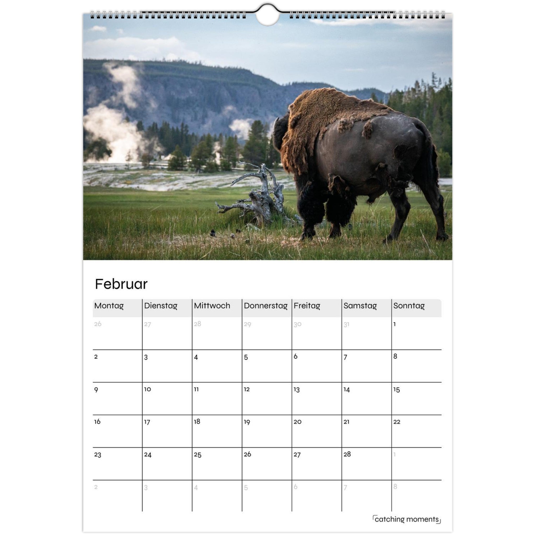 219c279c-6f1c-4059-b748-f8d84d9d2df9