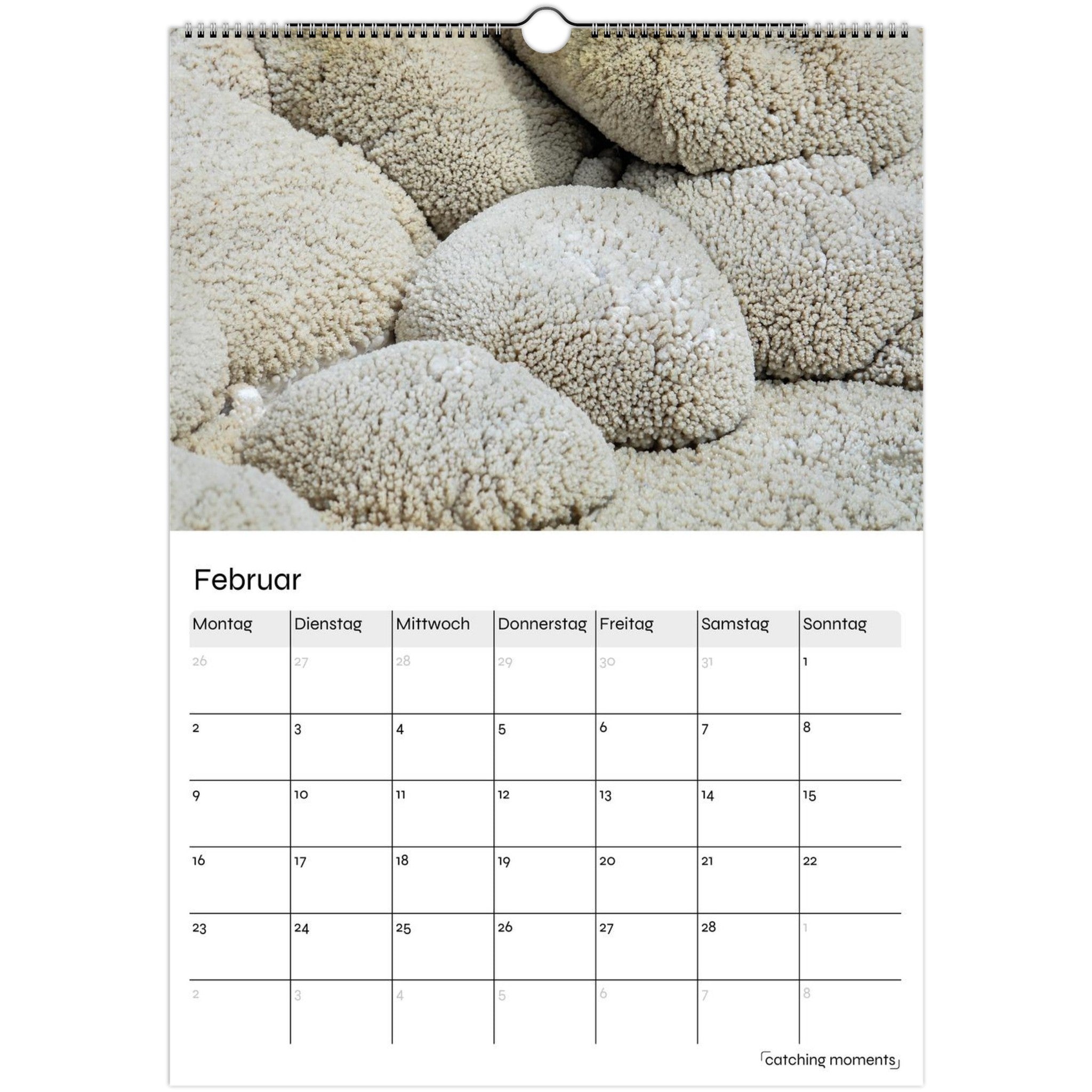 27745e76-e1a5-49a4-b9b8-ad4517c6c21c