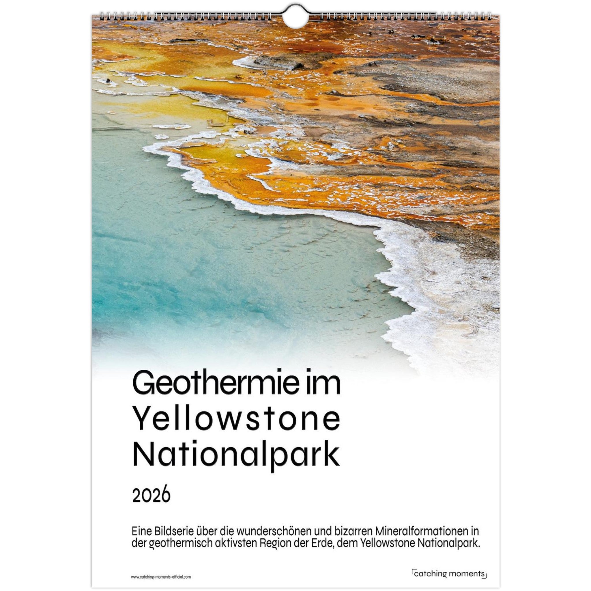 2daf0bae-0fb3-473d-9d20-01b32c94277c