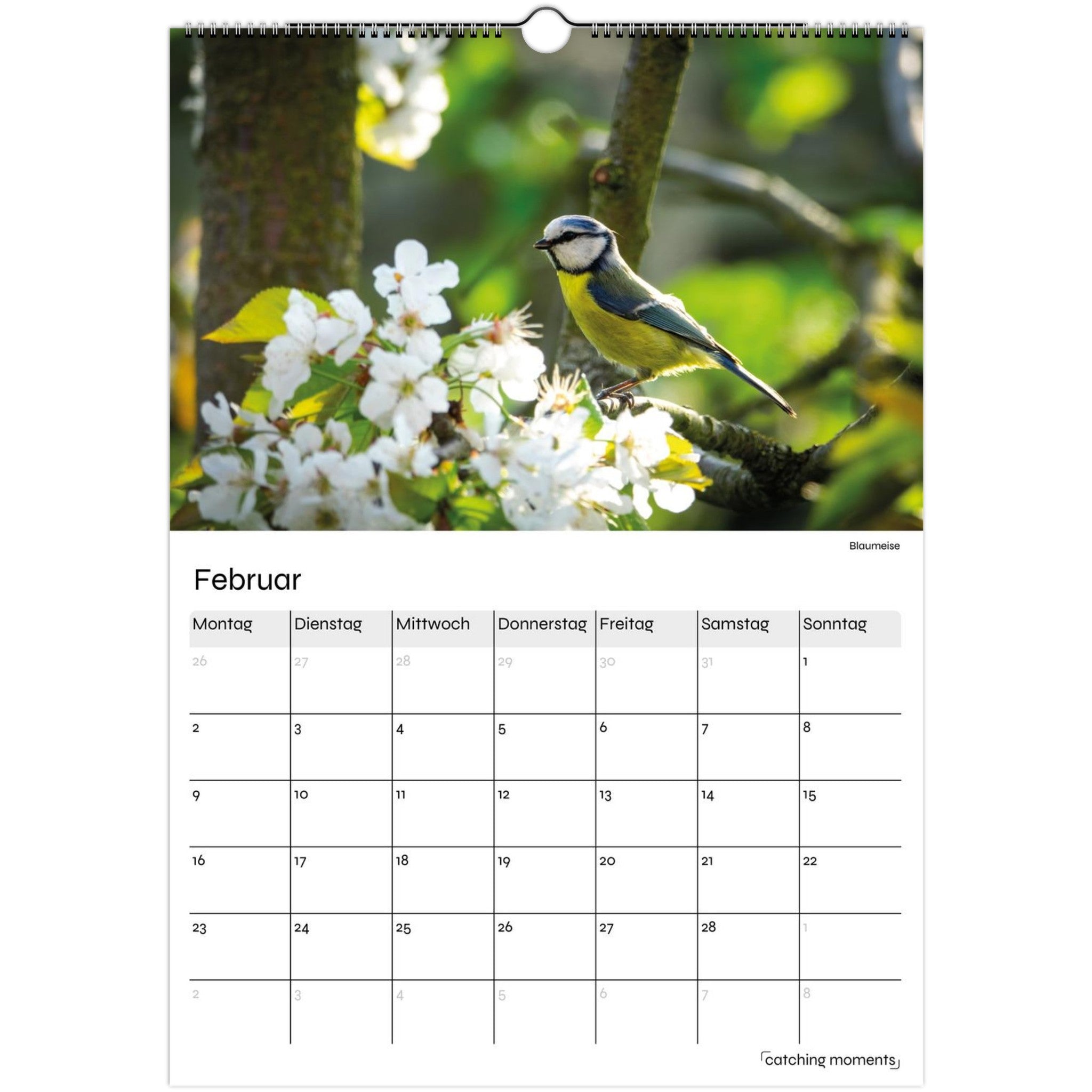 3a68f3cd-0ebe-440a-b700-26f369d0112e