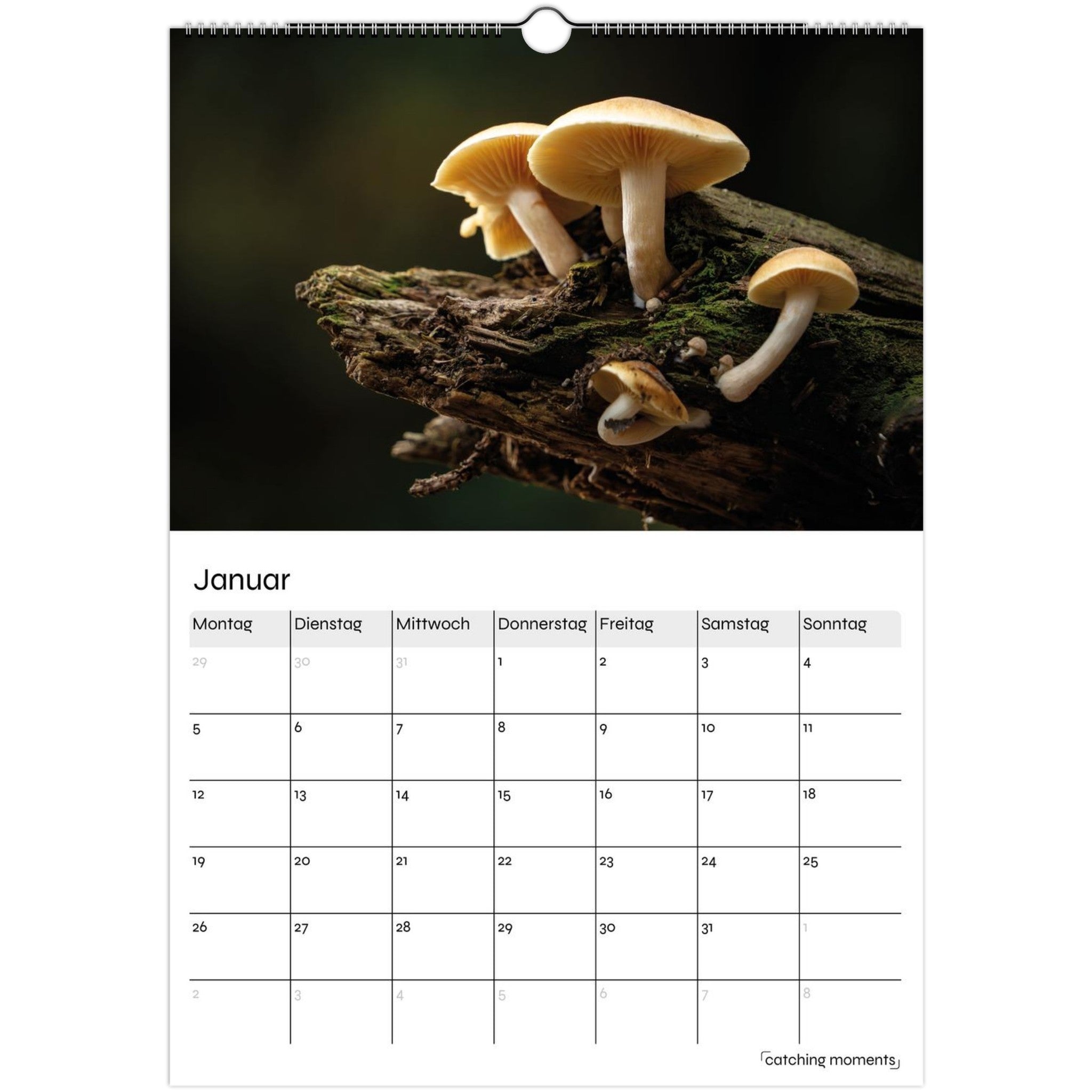 495bc73d-7a51-4d88-9ea5-247366855cc1