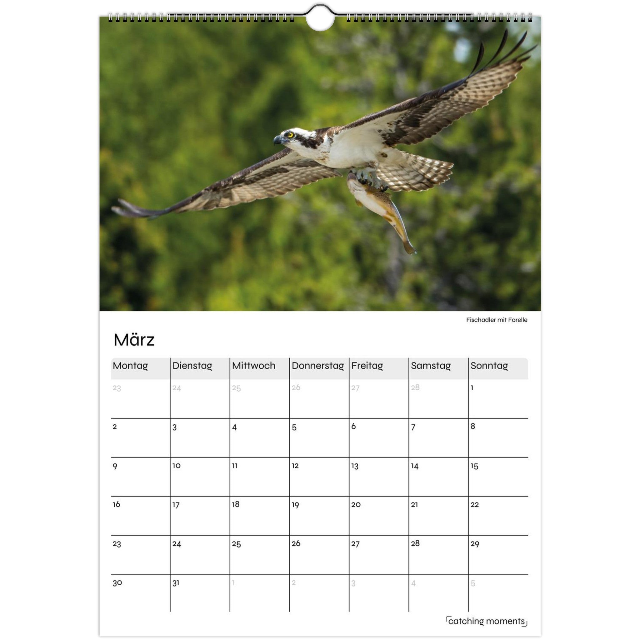 634c3a45-6c89-47cd-9ef9-b53b86a68ab9