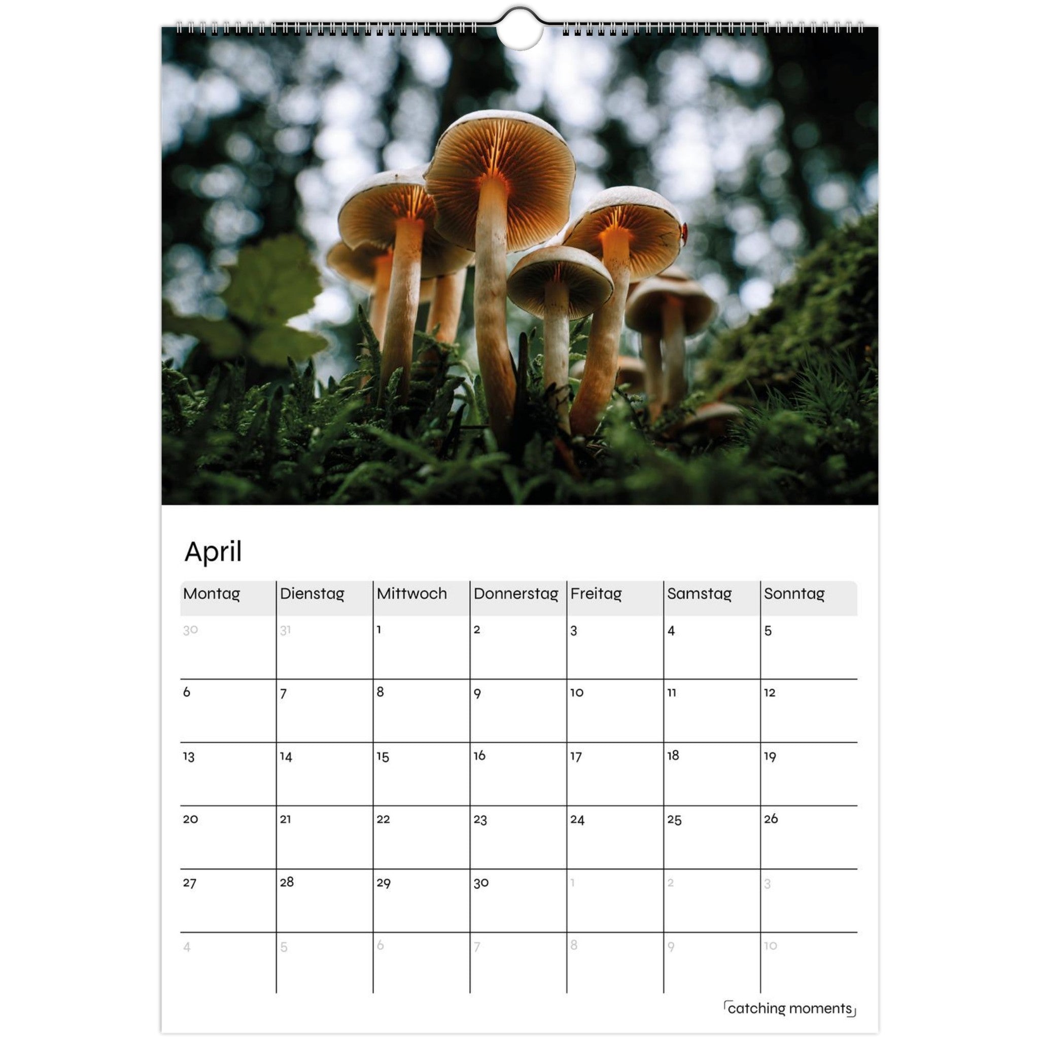 8a1bbe54-1c6f-4293-ba50-562b7f12472e