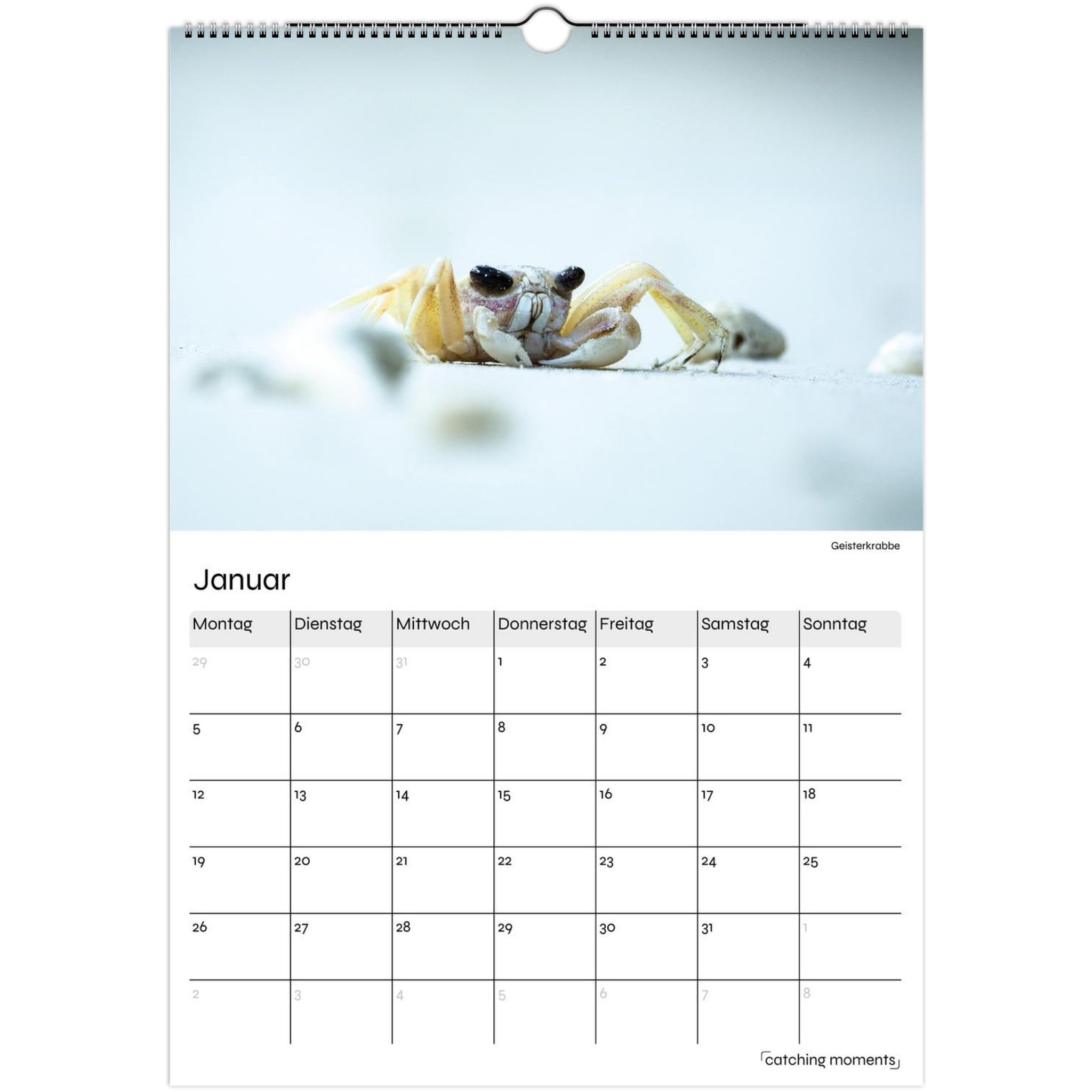 8da5576c-4fe8-4585-85e0-d531ab8091db