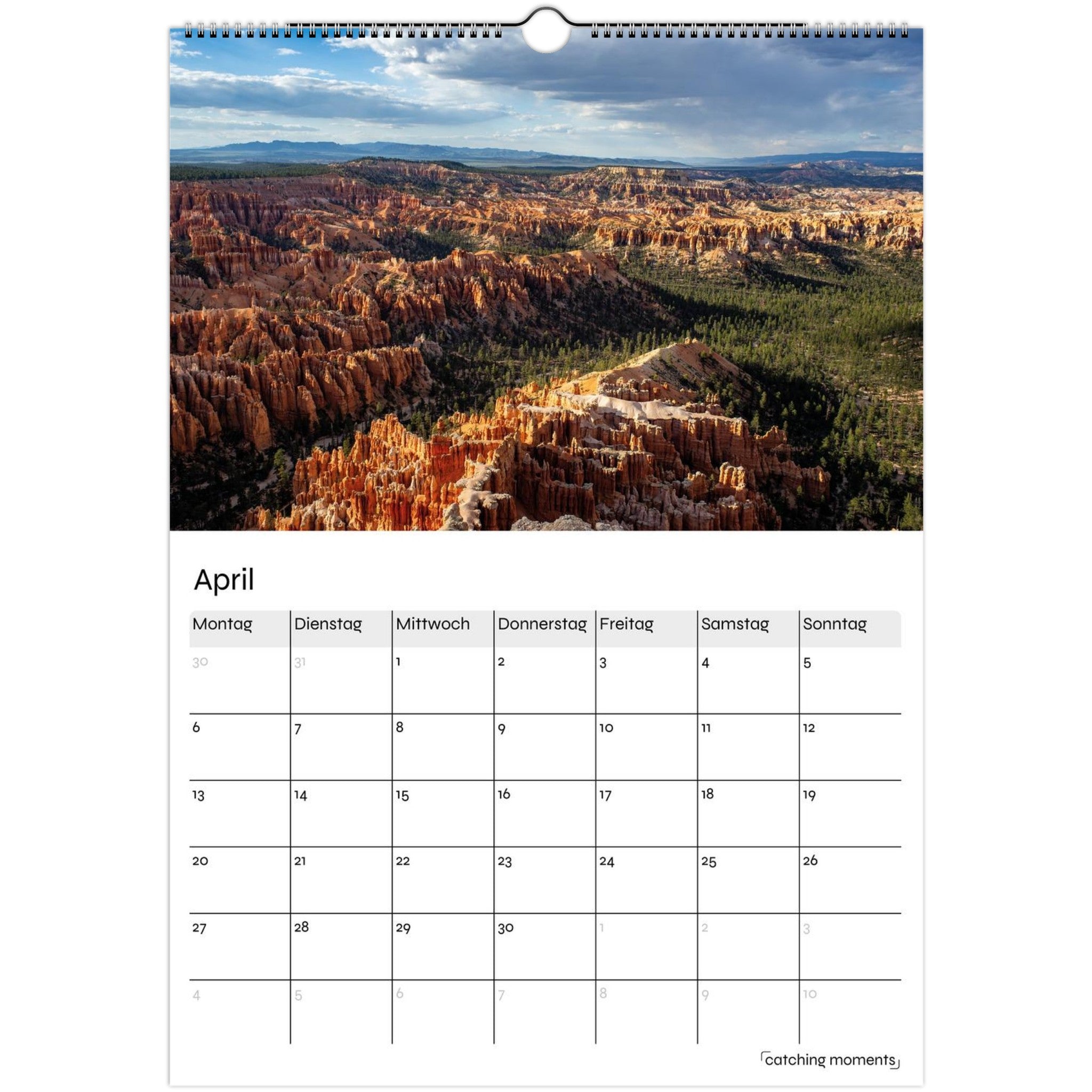 954299e9-196c-4835-9672-82af499f2553