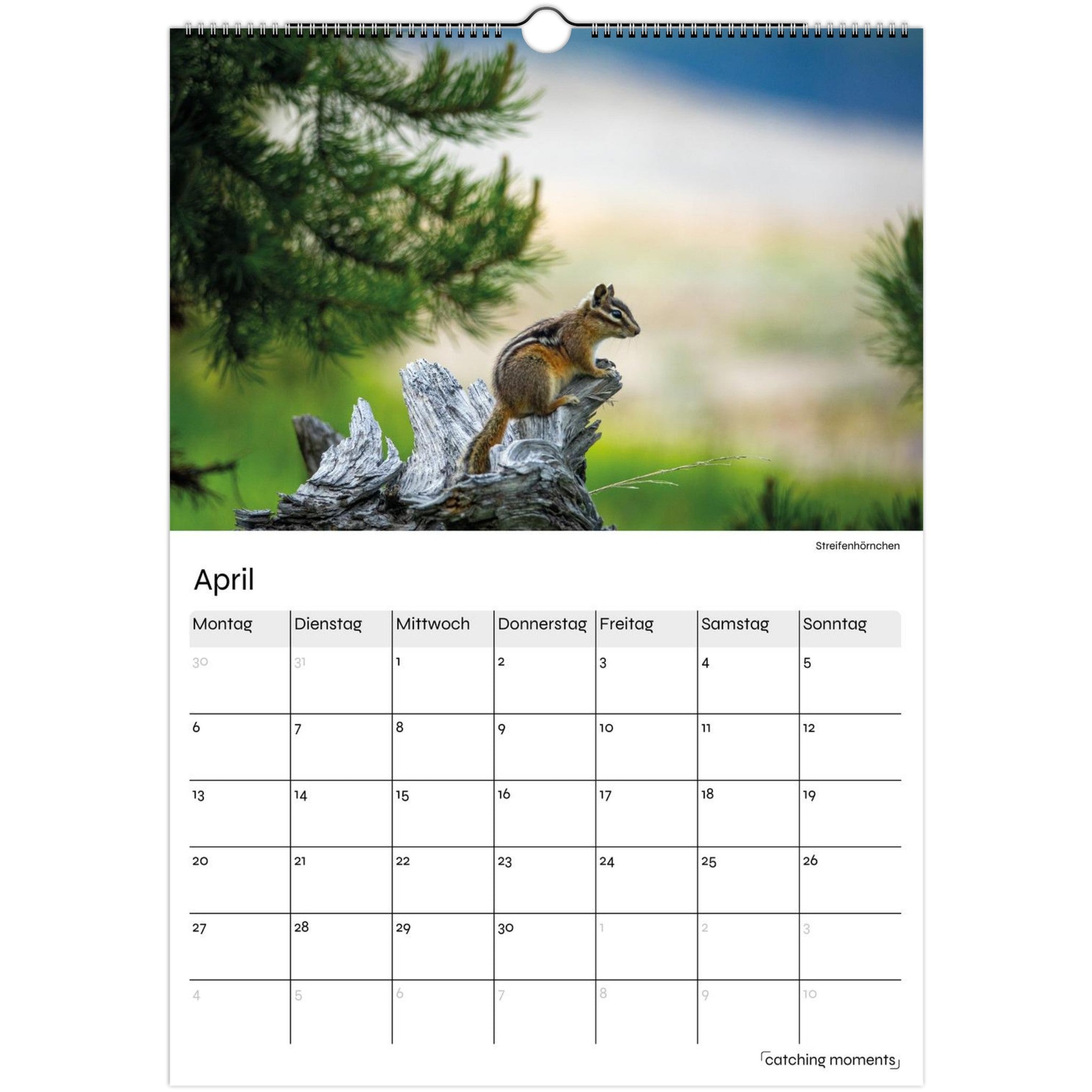 b95a0a45-9d90-4199-93e1-4d70a0ce296c