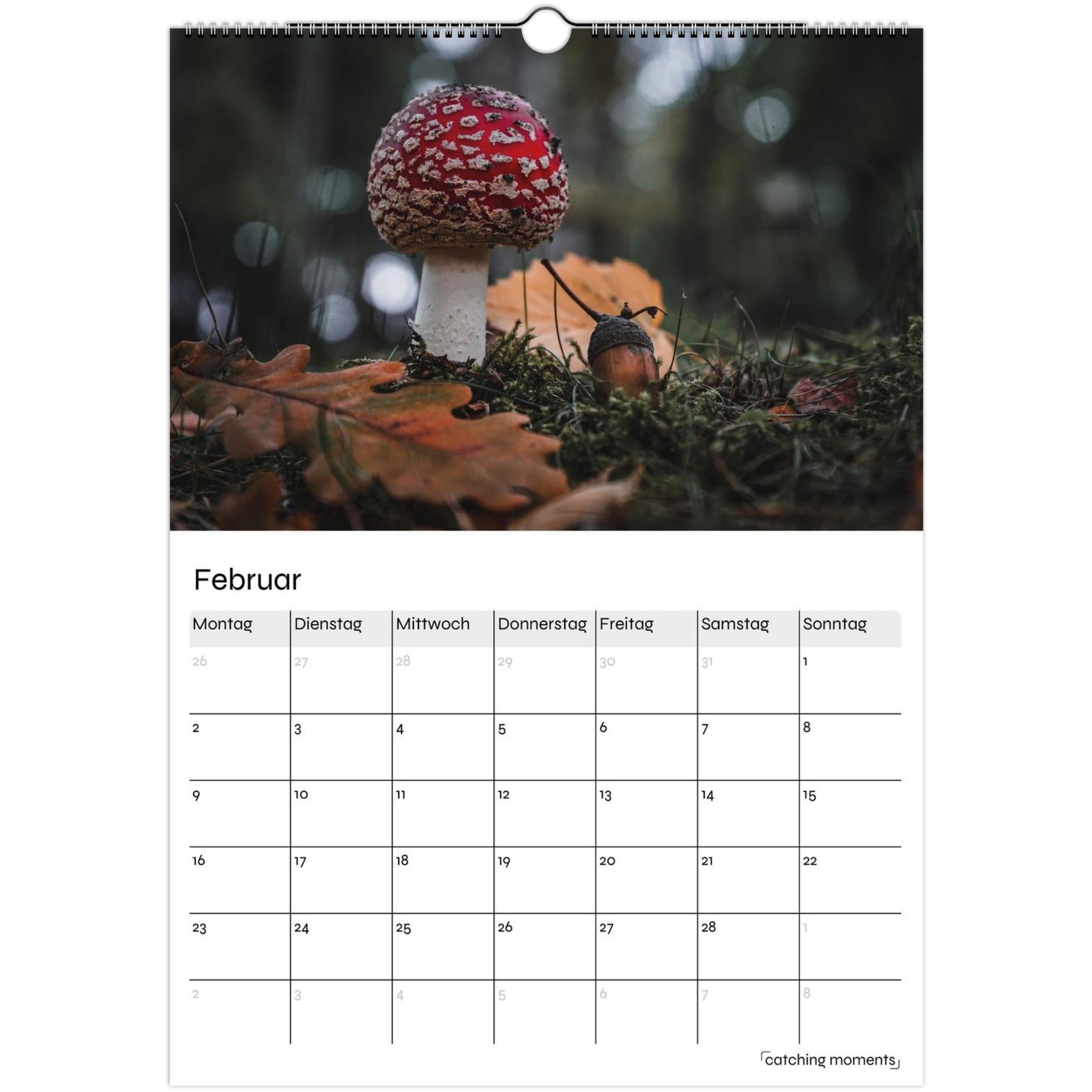 cc3f9ad8-0a0d-4184-a244-f3898e34c068