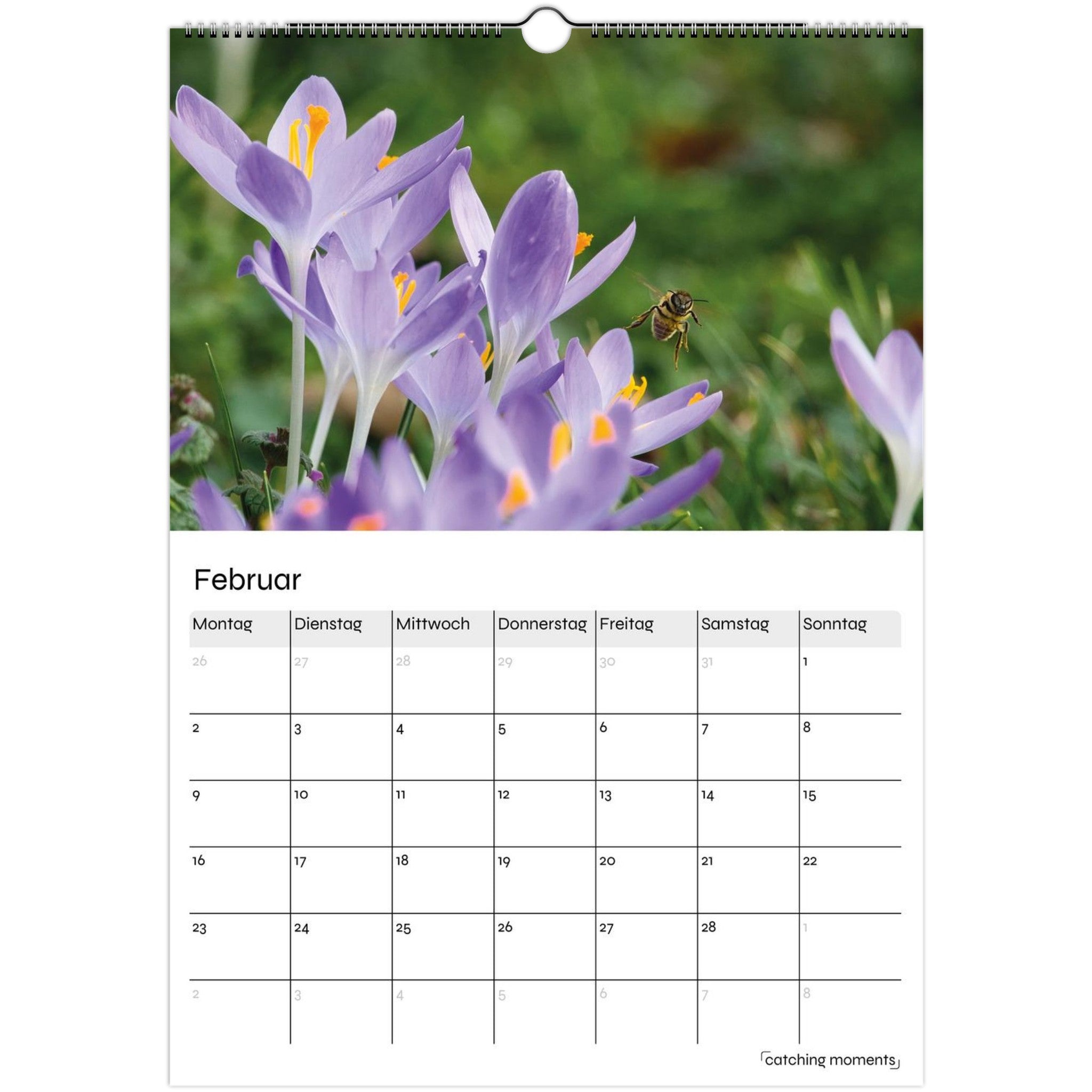 d437586b-159c-4b60-86ab-2dc95622f94e