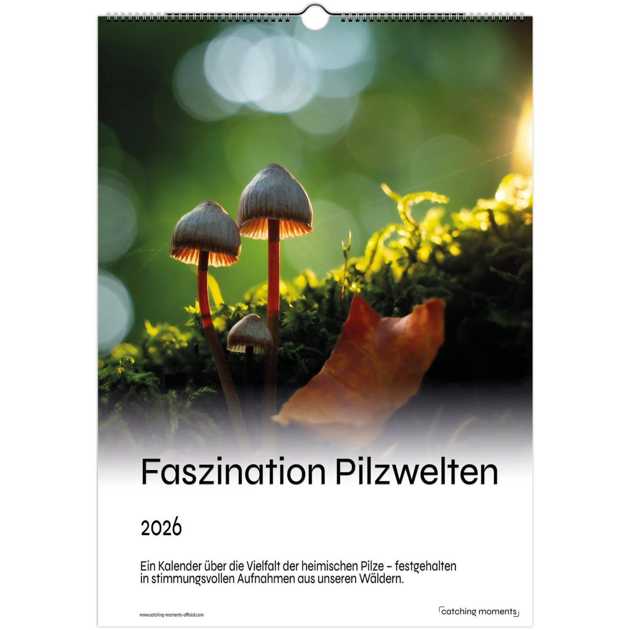 dcd96964-7b7b-477f-83eb-c77570d6c61f