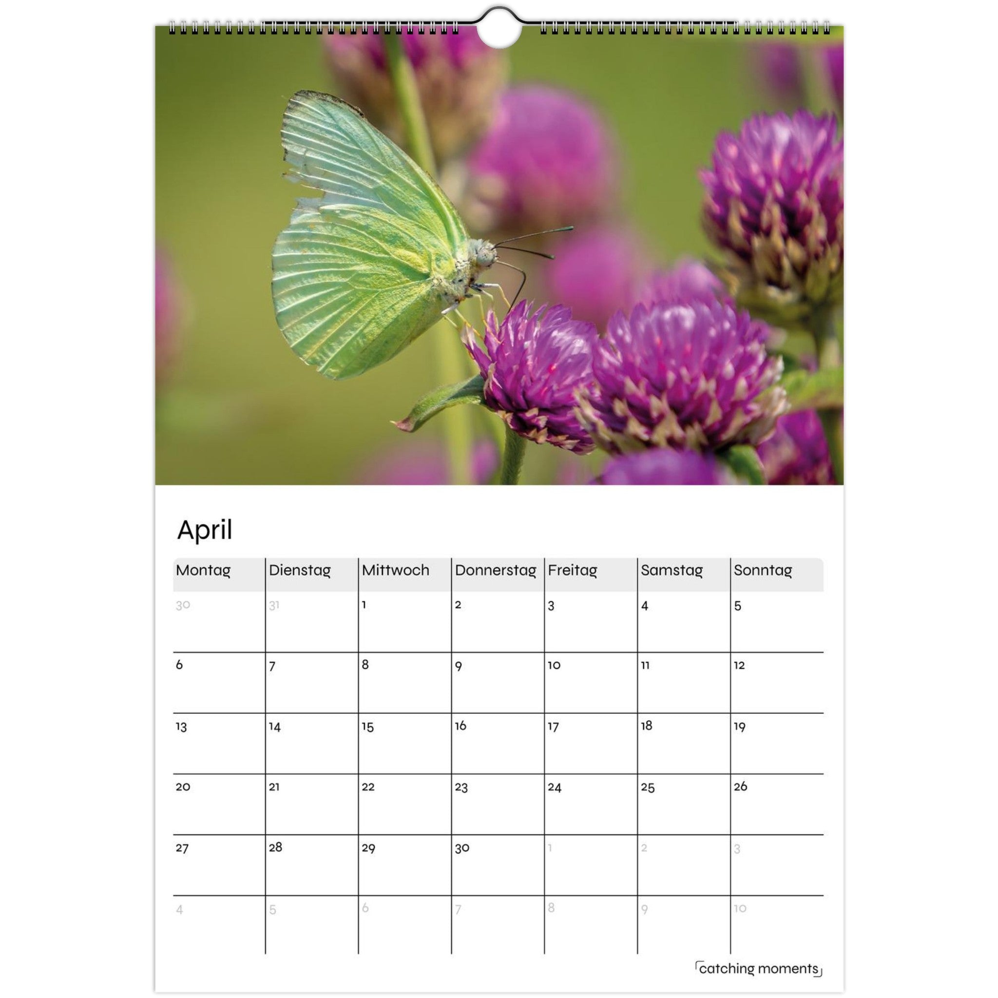 e17293cc-2911-4106-b1e9-0da04c262a5f