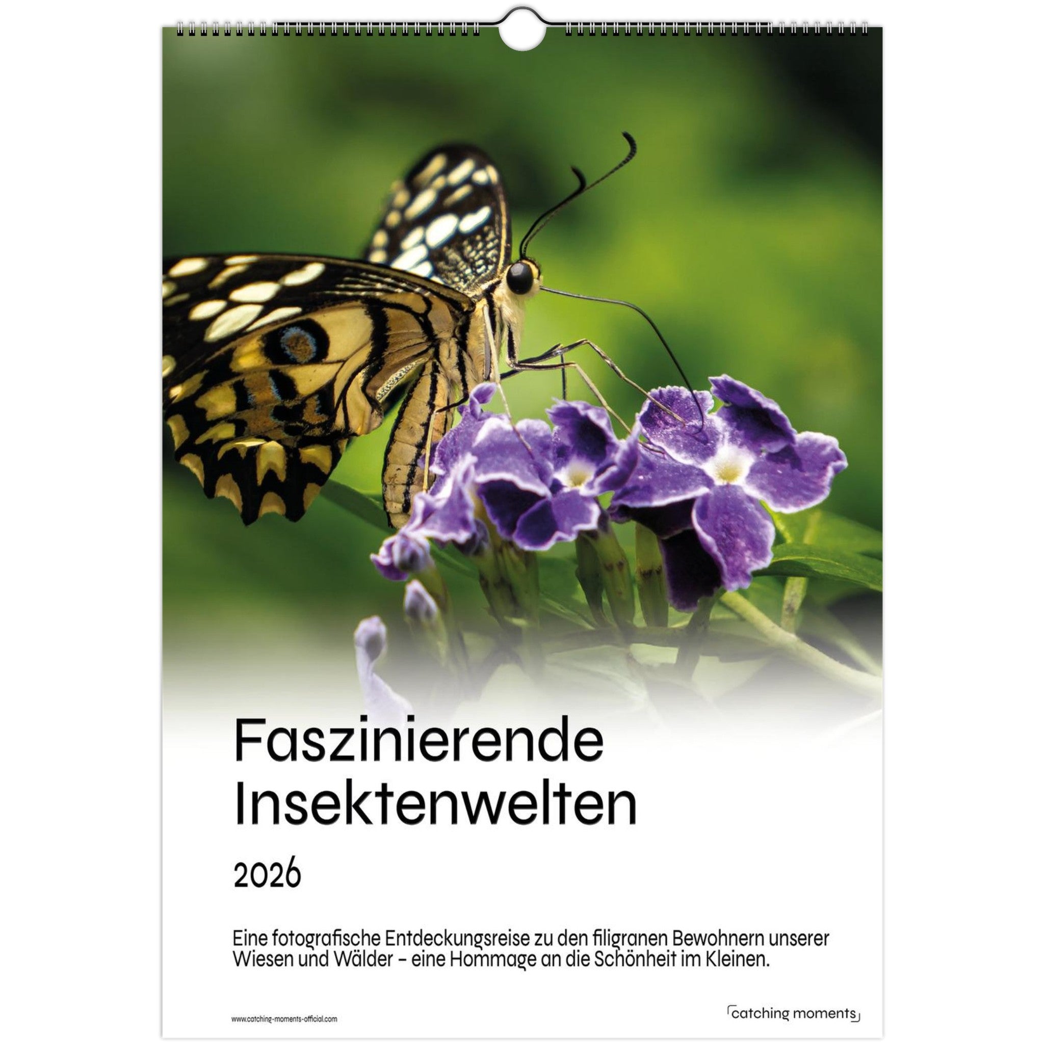 eb5022b6-8d28-4dc9-9bda-ef3ea6ddace0