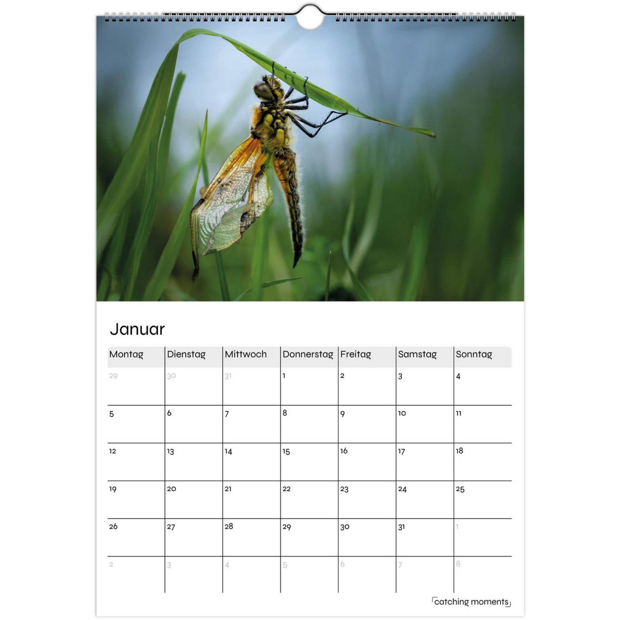 f74dbbb6-b852-41bd-8a29-cf44ae069178