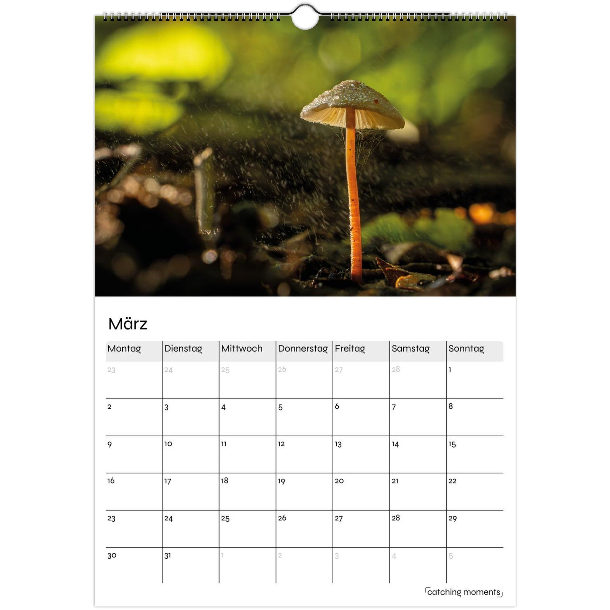 fc84fb22-f8db-4a82-94ac-71769a23044a